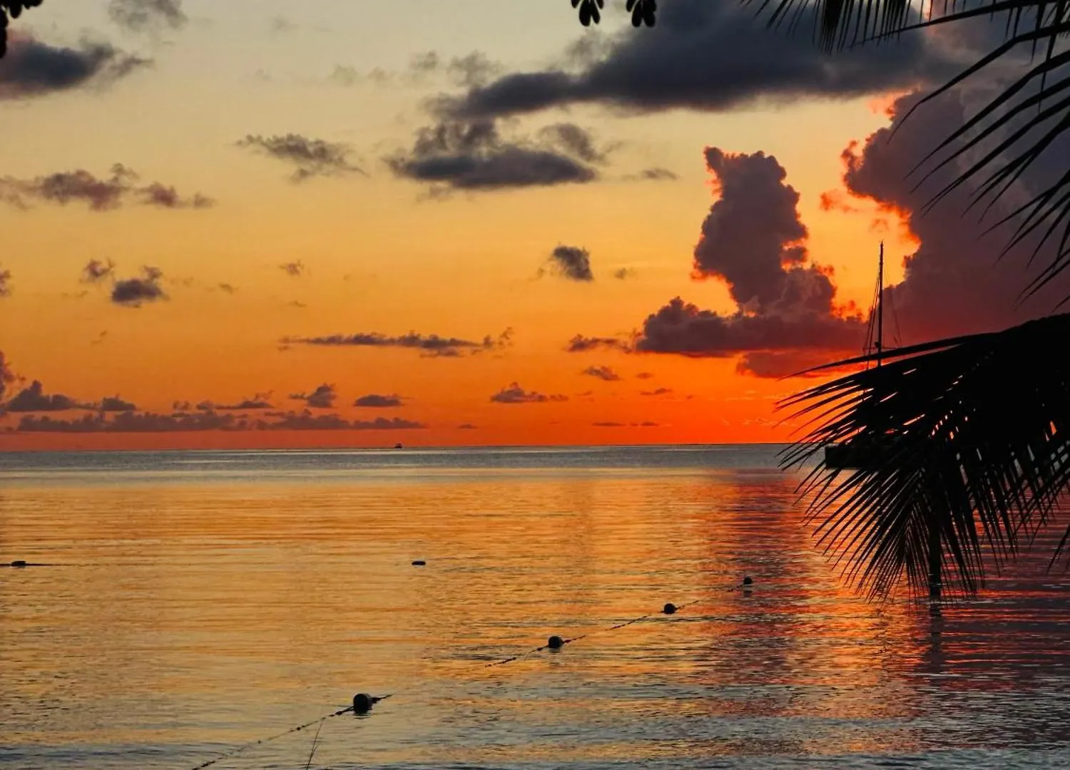 Costa Del Encanto Camper Rv Hotel Betances Campingplads